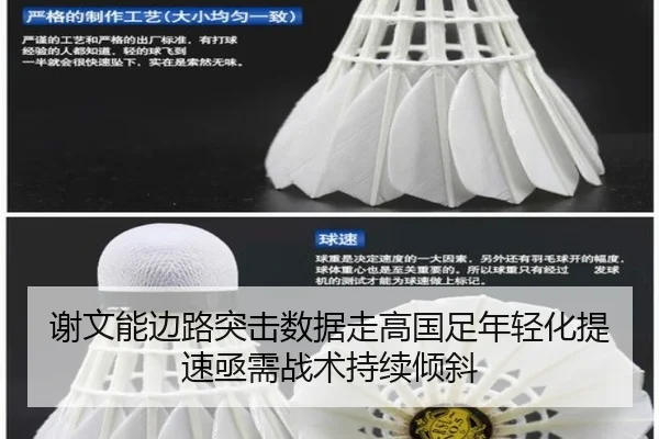 谢文能边路突击数据走高国足年轻化提速亟需战术持续倾斜 - KY app